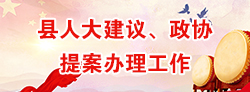 縣人大建議、政協(xié)提案辦理工作