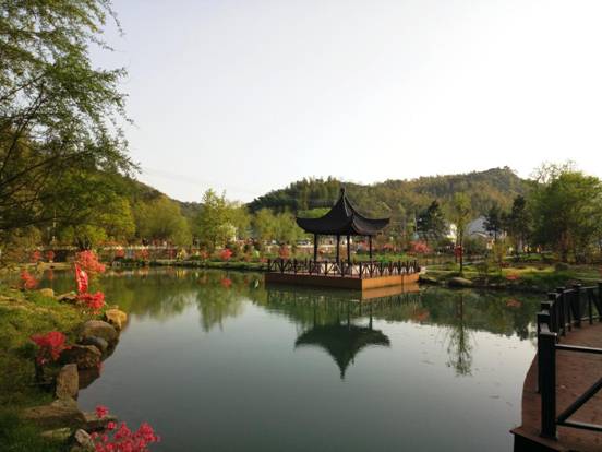 P70412-164303_副本