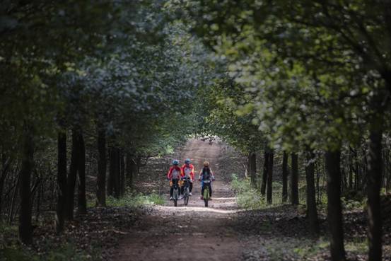 吳克金《騎行》