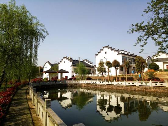 P70412-154944_副本